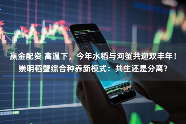 赢金配资 高温下，今年水稻与河蟹共迎双丰年！崇明稻蟹综合种养新模式：共生还是分离？
