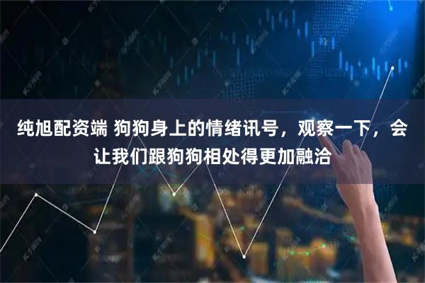 纯旭配资端 狗狗身上的情绪讯号，观察一下，会让我们跟狗狗相处得更加融洽