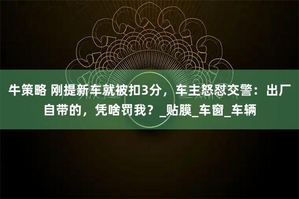 牛策略 刚提新车就被扣3分，车主怒怼交警：出厂自带的，凭啥罚我？_贴膜_车窗_车辆