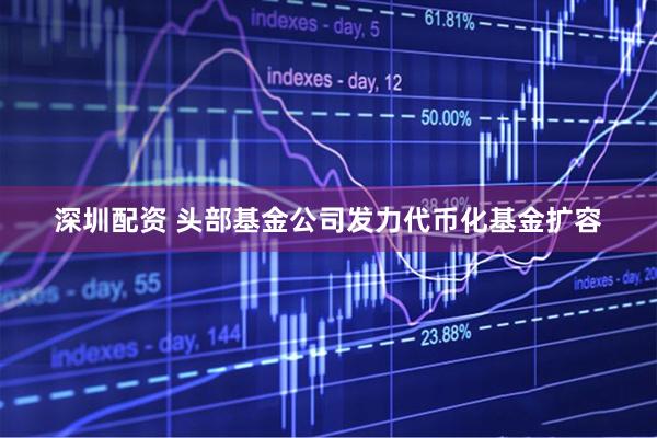 深圳配资 头部基金公司发力代币化基金扩容